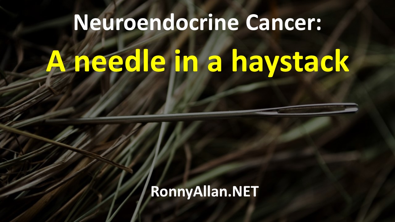 Neuroendocrine Cancer: Looking for a Needle in a Haystack