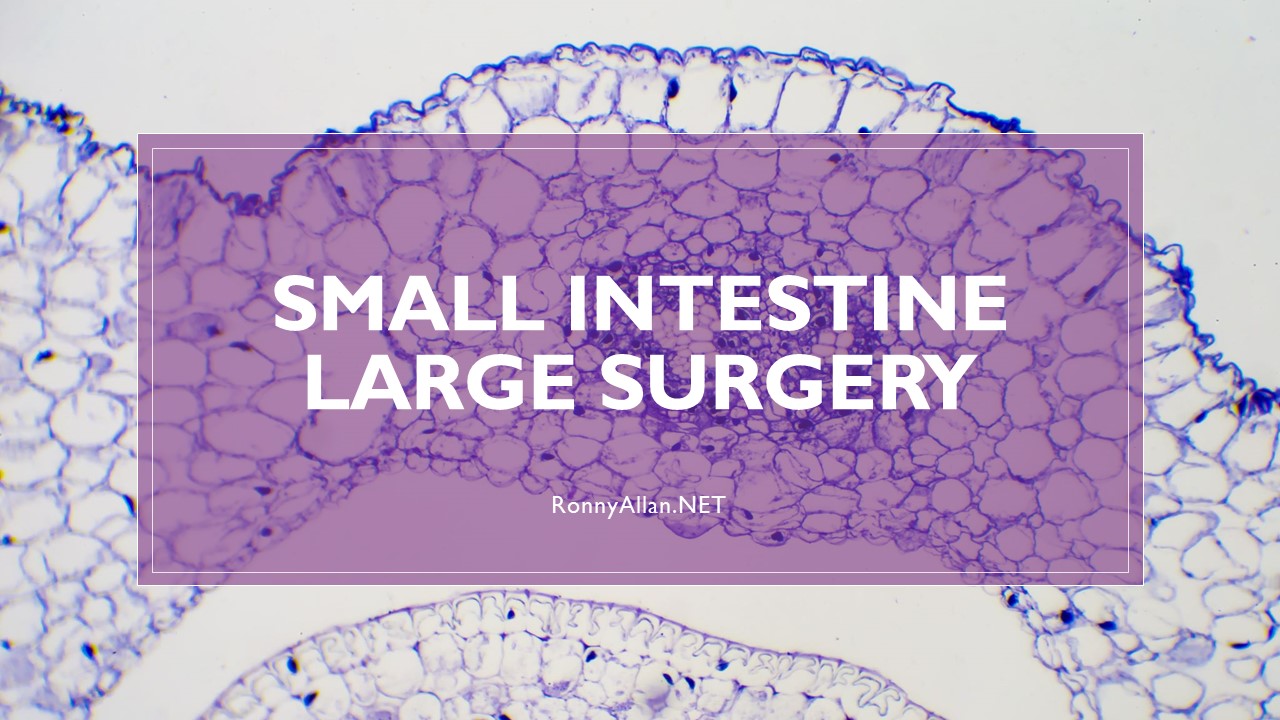 Small intestine, large surgery