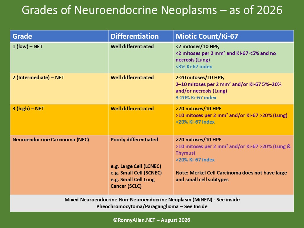 The Classification, Grading and Staging of Neuroendocrine Neoplasms (incorporating WHO 2026 classification changes)